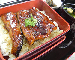 国産（九州産）うな重