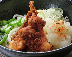 冷しいか下足おろしうどん