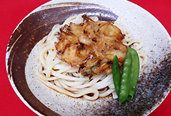 白エビかき揚げ冷やしうどん