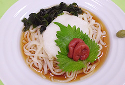 とろ～り冷しスッパィうどん