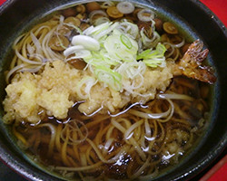 稲庭えび天うどん