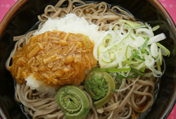 冷やしおろしそば