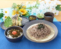 夏野菜天ざるそば・うどんセット