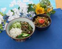 山菜とオクラのおろしぶっかけそば＆高菜ごはんのセット