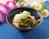 夏野菜ぶっかけうどん・そば