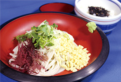 冷やしたぬきうどん涼風セット