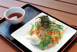 サラダうどん・そば