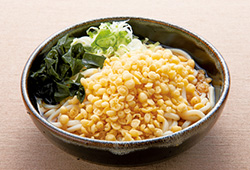 冷やしたぬきそば・うどん