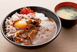 湘南豚スタミナカレー