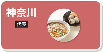 サンマー麺（焼売・春巻）セット