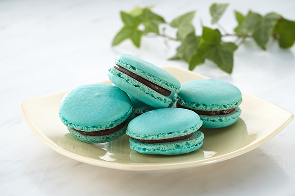 さんりくの塩マカロン | 「おみやげ」総選挙 | ドラぷら