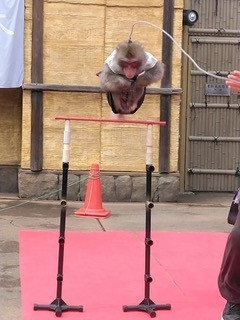 猿回し.jpg
