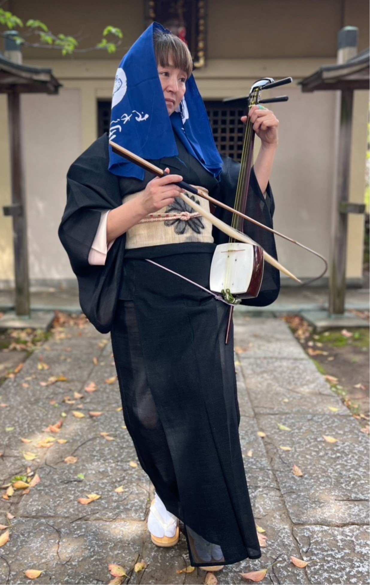 胡弓.jpg