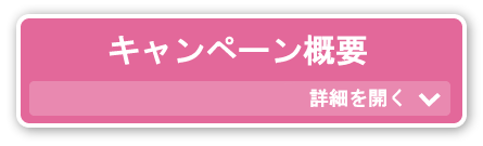 キャンペーンの概要をクリックで開く