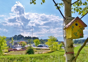 巣箱の見えるパーキング