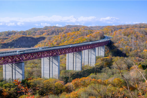 紅葉の中を走る