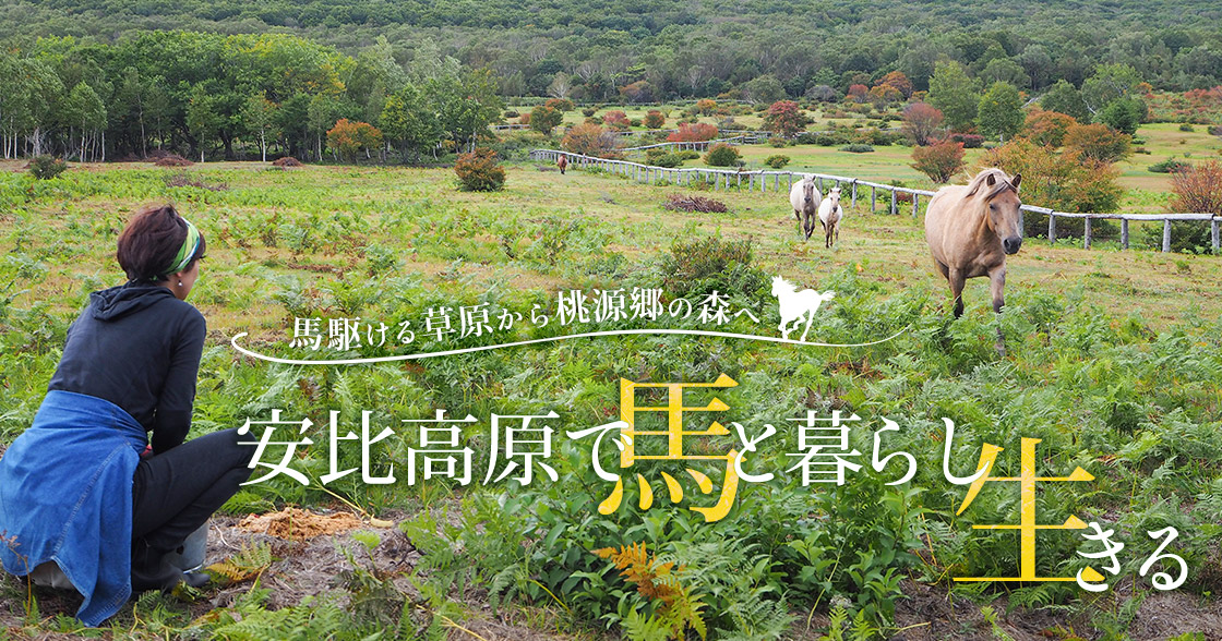 馬駆ける草原から桃源郷の森へ 安比高原で馬と暮らし 生きる ドラぷら