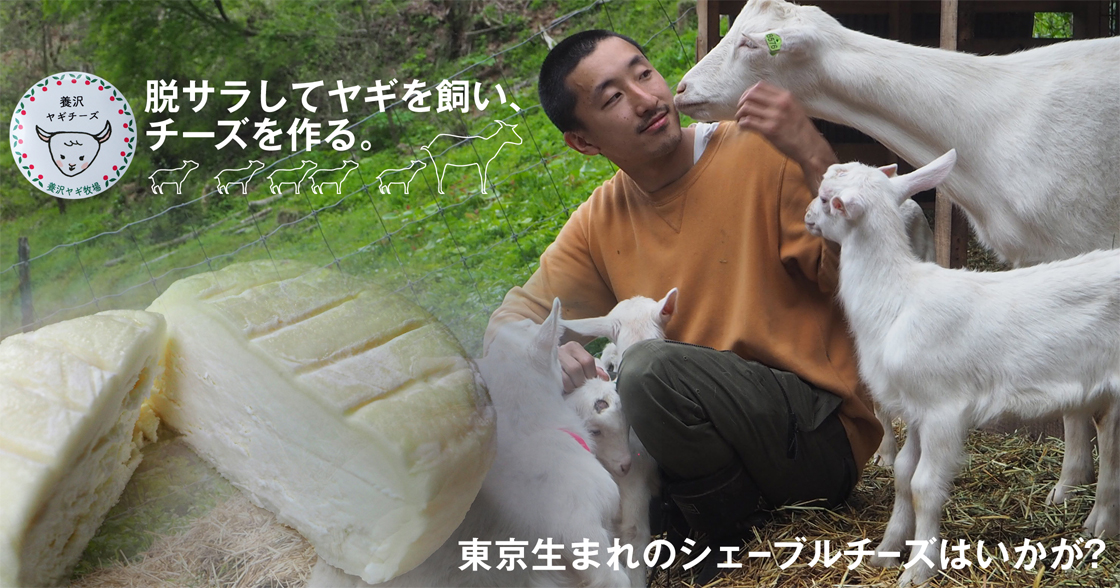 脱サラしてヤギを飼い、チーズを作る。東京生まれのシェーブルチーズはいかが？