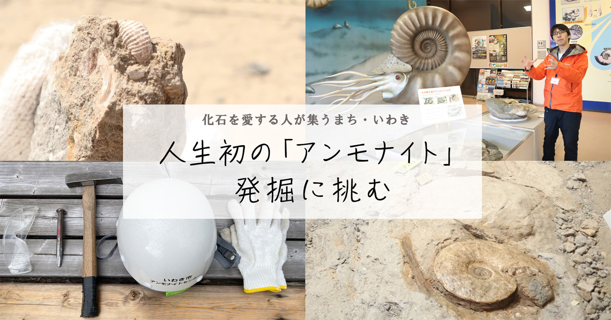 日本化石集 築地書店　アンモナイト　歴史　地質　地理　植物　生物　全58巻　希少 全58巻 本・雑誌・漫画 日本化石集 築地書店 アンモナイト 歴史 地質