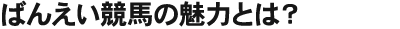 ばんえい競馬の魅力とは？