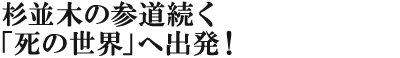 杉並木の参道続く「死の世界」へ出発！