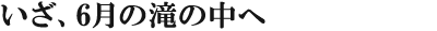 いざ、6月の滝の中へ