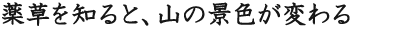 薬草を知ると、山の景色が変わる