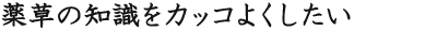 薬草の知識をカッコよくしたい