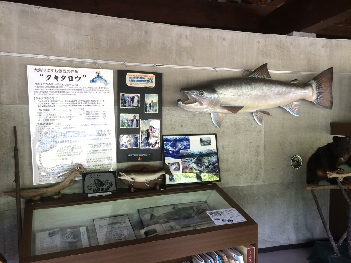 山形の秘境 大鳥池で釣り糸を垂れる 伝説の巨大魚タキタロウを追って 未知の細道 ドラぷら