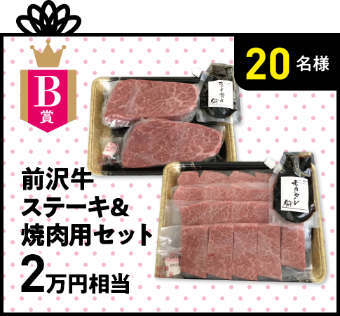 B賞 前沢牛ステーキ&焼肉用セット 2万円相当 20名様